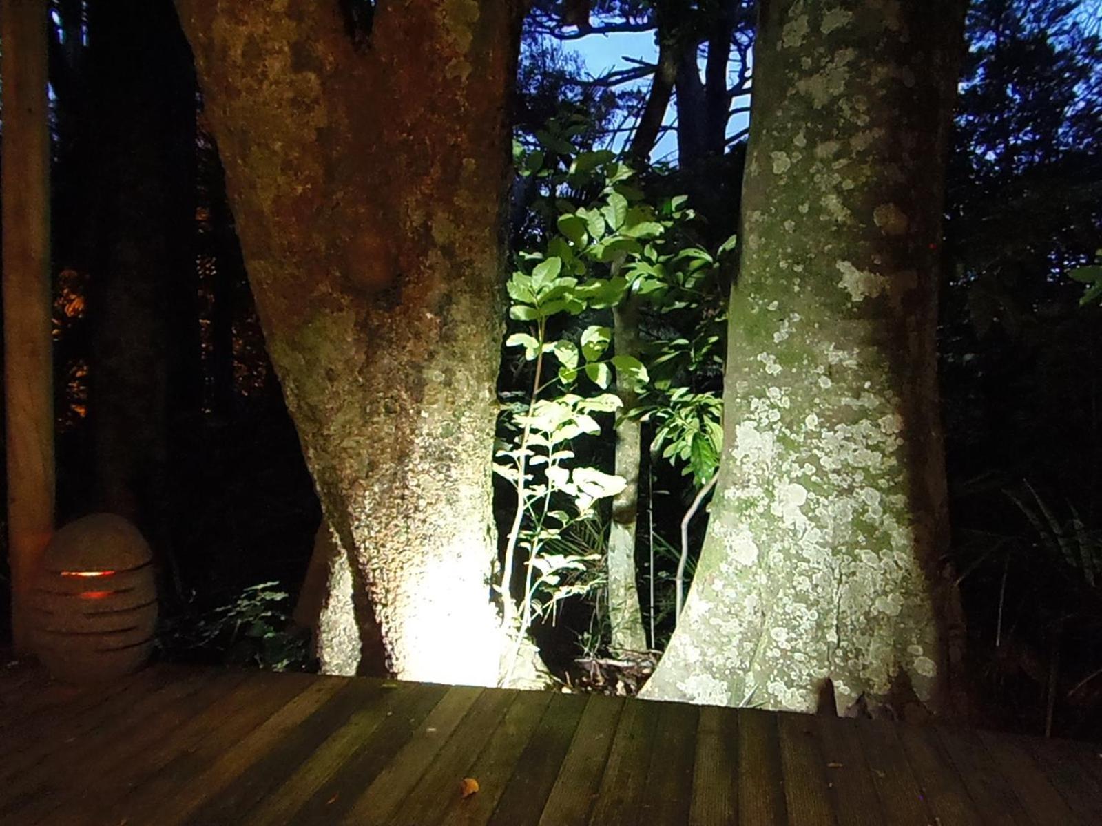 Nikau Sanctuary Hotel Raglan Kültér fotó